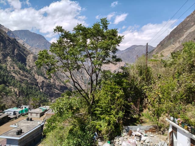 Garhwal Himalayan Hostay